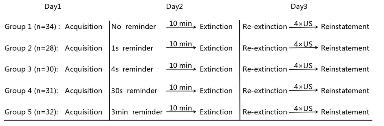 Memory Reconsolidation-based novel intervention 