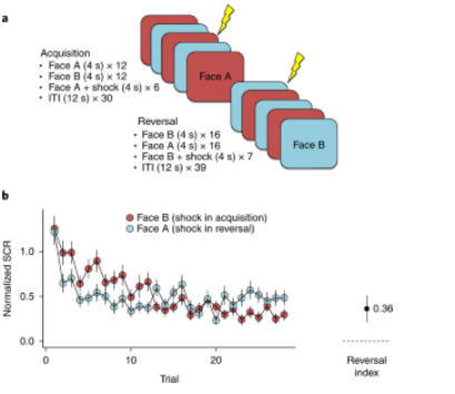 Aversive Reversal & Neurocomputational Mechanisms in Anxiety